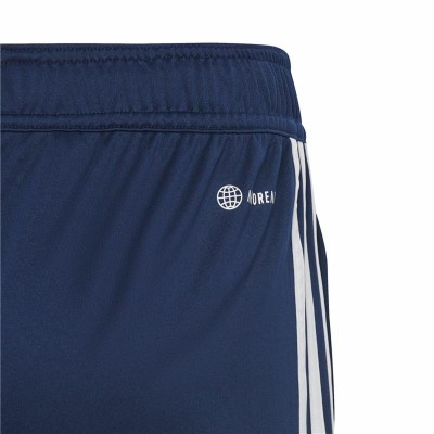 Sports Shorts Adidas Tiro23 Cbtrshoy Blue