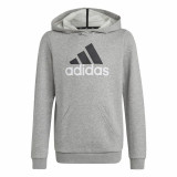 Unisex Hoodie Adidas Essentials Grey