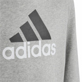 Unisex Hoodie Adidas Essentials Grey