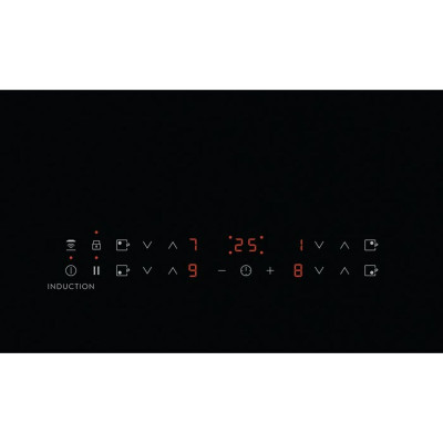 Induction Hot Plate Electrolux