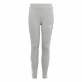 Sports Leggings for Children Adidas Essentials Grey