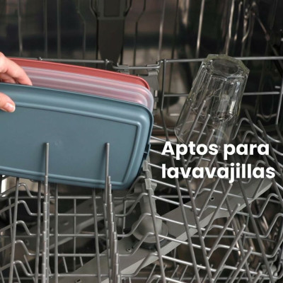 Lunch box Ibili 689210