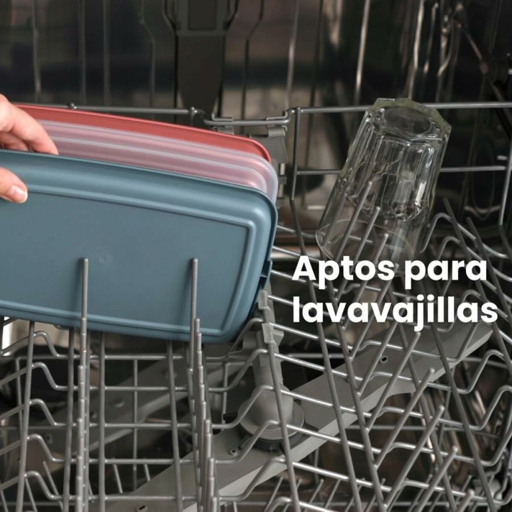 Lunch box Ibili 689210