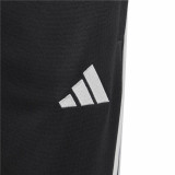 Children’s Sports Shorts Adidas Tiro 23 Club
