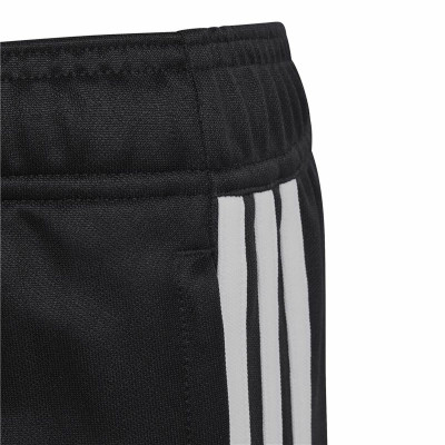 Children’s Sports Shorts Adidas Tiro 23 Club