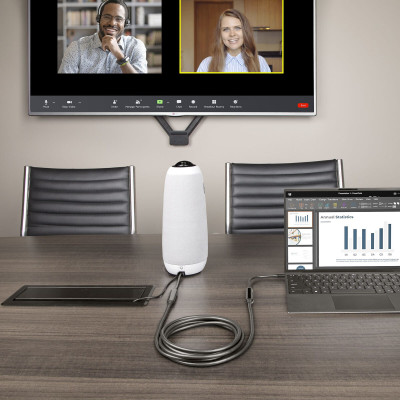 USB Cable Startech UCC-3M-10G-USB-CABLE Black 3 m