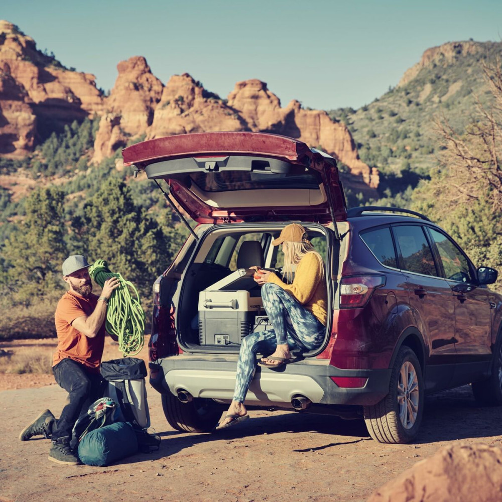 Portable Fridge Dometic Black Beige