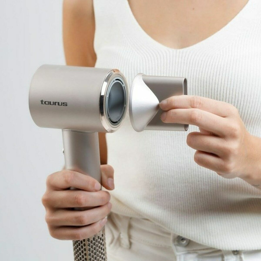 Hairdryer Taurus 900119000 Grey