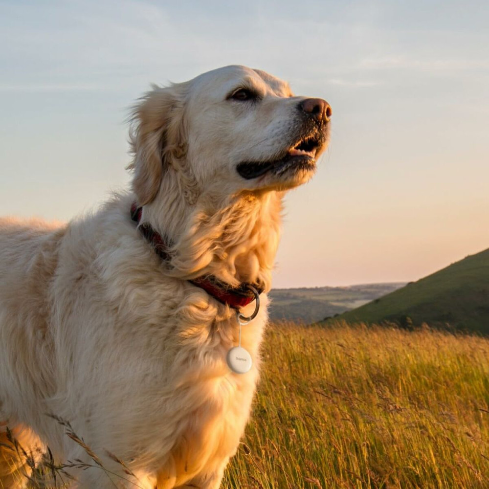 USB Cable Hama 00185825 White