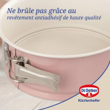 Springform Pan Dr. Oetker