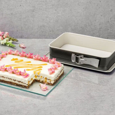 Springform Pan Dr. Oetker