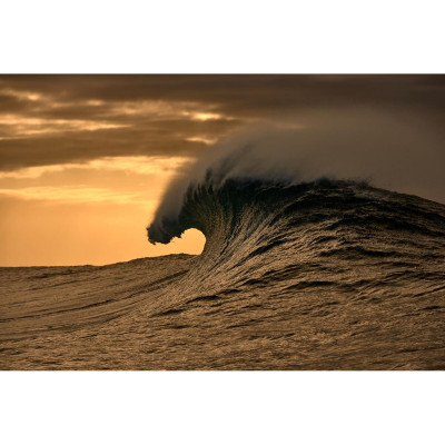 Ladies' Spectacle frame O'Neill ONO-4524 52102