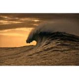 Ladies' Spectacle frame O'Neill ONO-4524 52102