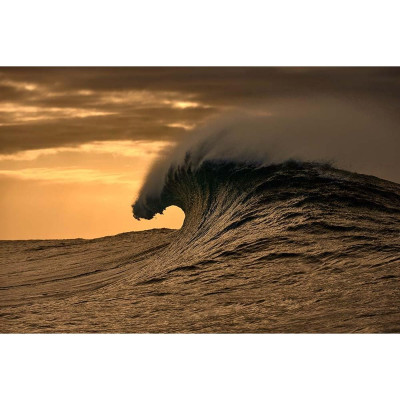 Ladies' Spectacle frame O'Neill ONB-4031 52108