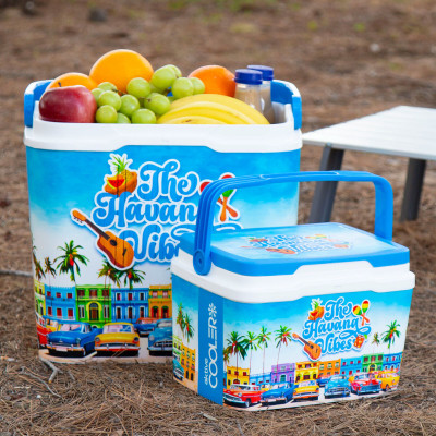 Portable Fridge Aktive Plastic 37 x 35 x 27 cm (2 Units)