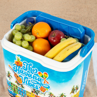 Portable Fridge Aktive Plastic 37 x 35 x 27 cm (2 Units)