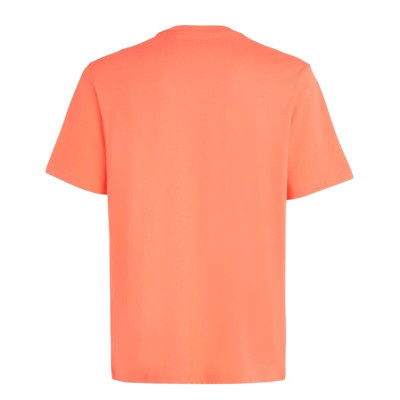 Men’s Short Sleeve T-Shirt O'Neill Small Logo Orange
