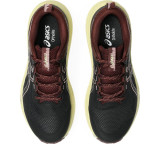 Trail running shoes for women Asics Trabuco Terra 3 Black