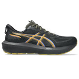 Running Shoes for Adults Asics Gt-1000 14 Gtx Black