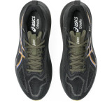 Running Shoes for Adults Asics Gt-1000 14 Gtx Black
