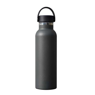 Water bottle Safta Carbon Silicone Stainless steel