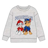 Children’s Sweatshirt The Paw Patrol Grey