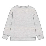 Children’s Sweatshirt The Paw Patrol Grey