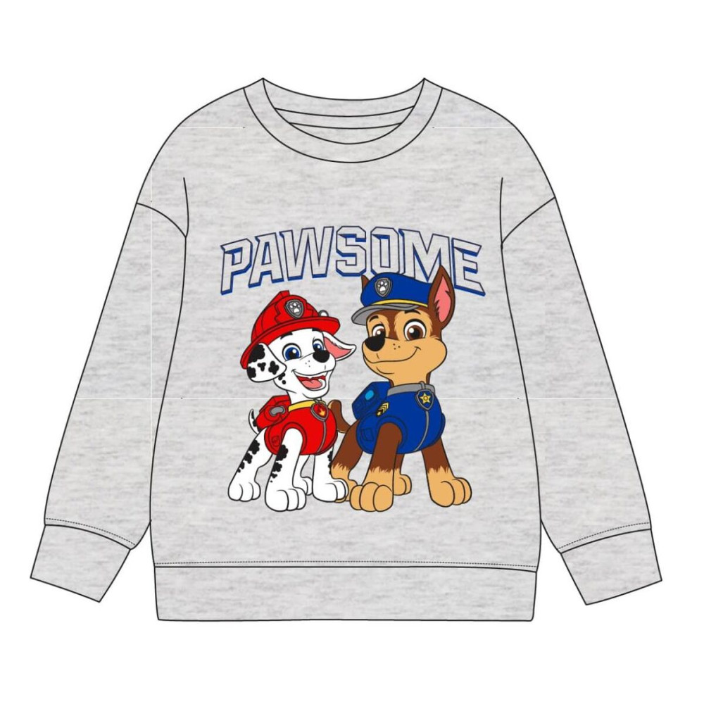 Children’s Sweatshirt The Paw Patrol Grey