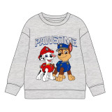 Children’s Sweatshirt The Paw Patrol Grey