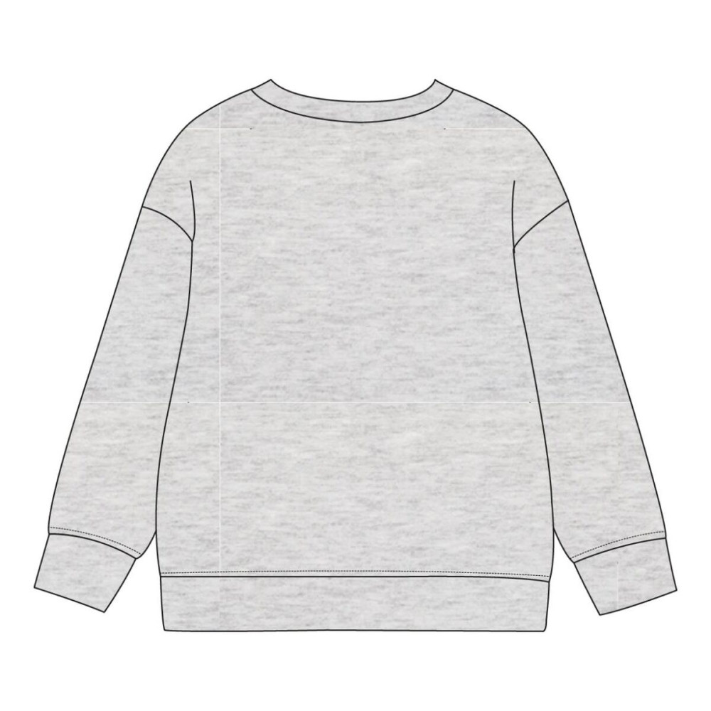 Children’s Sweatshirt The Paw Patrol Grey