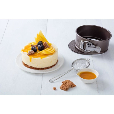 Springform Pan Pyrex Carbon steel