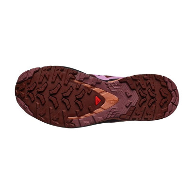 Men's trail running shoes (mountain running) Salomon Xa Pro 3D V9 Burgundy