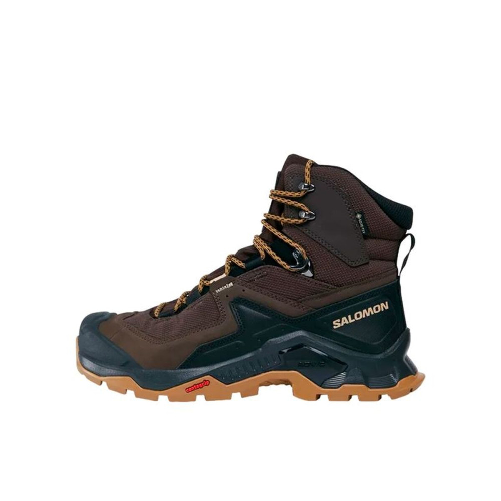Hiking Boots Salomon Quest Element Gore-Tex Brown