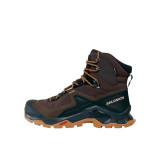 Hiking Boots Salomon Quest Element Gore-Tex Brown