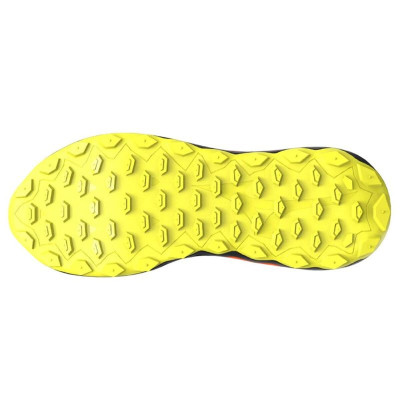 Men's trail running shoes (mountain running) Mizuno Wave Ibuki 5 Black