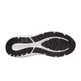 Running Shoes for Adults Under Armour Charged Grey