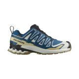Men's trail running shoes (mountain running) Salomon Xa Pro 3D V9 Gtx Blue