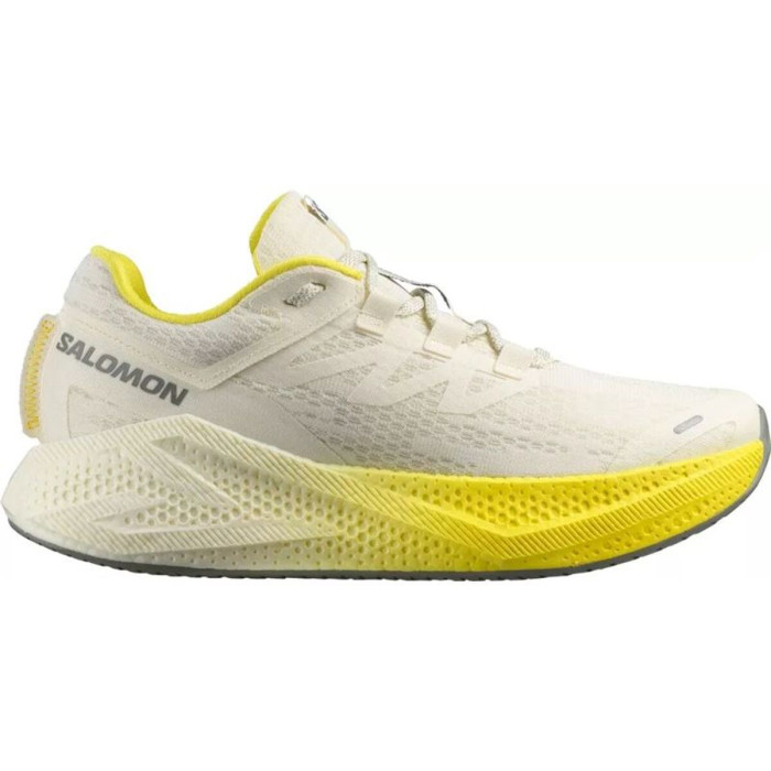 Running Shoes for Adults Salomon Aero Glide 3 Yellow