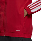 Men's Sports Jacket Adidas Sq21 Red Football