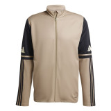 Men's Sports Jacket Adidas Squadra25 Beige Football
