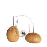 Unusual and Fun Gifts