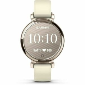 Men's Watch GARMIN 010-02839-00 Golden