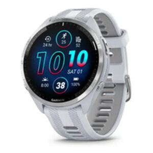 Men's Watch GARMIN 010-02785-03 Gold Pink